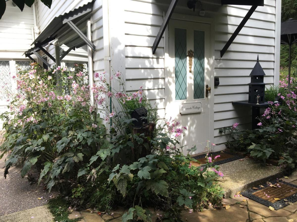 克拉伦登小屋酒店 萨沙弗拉斯 外观 照片
